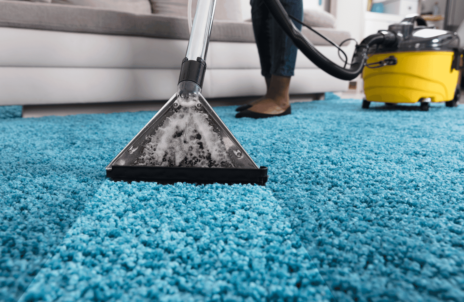 The Importance of Carpet Cleaning for Home and Business